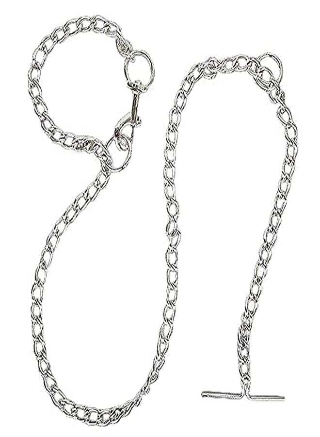 KittuPet Dog Belt Combo of 1 inch Nylon Collar with Heavy Dog Chain 63 Inch Lengthy Dog Collar (Black) Silver Chain - Image 4